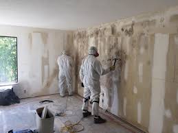 Why You Should Choose Our Mold Remediation Services in Tri Lakes, IN